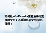 如何让WinKawaks里的金手指变成中文的（怎么都是英文的我看不懂啊）