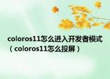 coloros11怎么进入开发者模式（coloros11怎么投屏）