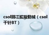 csol鍗冮拡璇勬祴（csol千针BT）