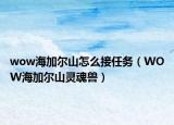 wow海加尔山怎么接任务（WOW海加尔山灵魂兽）