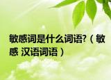 敏感词是什么词语?（敏感 汉语词语）