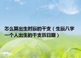 怎么算出生时辰的干支（生辰八字 一个人出生的干支历日期）