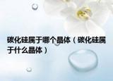 碳化硅属于哪个晶体（碳化硅属于什么晶体）