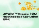 u盘中毒出现了个Thumbs.ms（文件还得我把其他全部删除了可是这个文件还是删不掉）