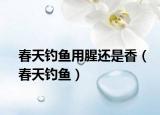 春天钓鱼用腥还是香（春天钓鱼）
