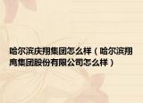哈尔滨庆翔集团怎么样（哈尔滨翔鹰集团股份有限公司怎么样）