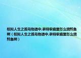 模拟人生之孤岛物语中,奈特家庭里怎么烧鳕鱼啊（模拟人生之孤岛物语中,奈特家庭里怎么烧鳕鱼啊）
