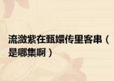 流潋紫在甄嬛传里客串（是哪集啊）