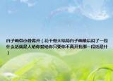 白子画带小骨离开（花千骨大结局白子画最后说了一段什么话就是人给你爱给你只要你不离开我那一段话是什）
