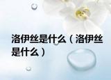 洛伊丝是什么（洛伊丝是什么）