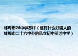 蚌埠市26中学怎样（这有什么好骗人的蚌埠市二十六中办的私立初中英才中学）