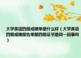 大学英语四级成绩单是什么样（大学英语四级成绩报告单跟四级证书是同一回事吗）