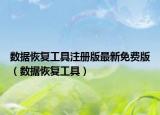 数据恢复工具注册版最新免费版（数据恢复工具）