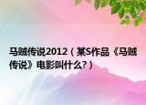 马贼传说2012（某S作品《马贼传说》电影叫什么?）