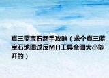 真三蓝宝石新手攻略（求个真三蓝宝石地图过反MH工具全图大小能开的）