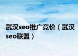 武汉seo推广竞价（武汉seo联盟）