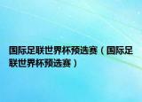 国际足联世界杯预选赛（国际足联世界杯预选赛）
