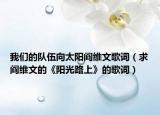 我们的队伍向太阳阎维文歌词（求阎维文的《阳光路上》的歌词）