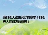 我问苍天谁主沉浮的意思（问苍天人在何方的意思）