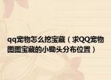 qq宠物怎么挖宝藏（求QQ宠物图图宝藏的小锄头分布位置）