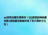 qq宠物宝藏在哪里挖（QQ宠物的神秘藏宝图1级的藏宝图被拼成了至少得多少元宝）