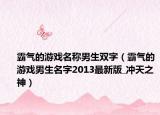 霸气的游戏名称男生双字（霸气的游戏男生名字2013最新版_冲天之神）