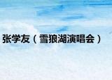 张学友（雪狼湖演唱会）