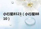 小行星8523（小行星8810）