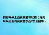 狗狗耳朵上面黄黄的块状物（狗狗耳朵里面有黄黄的东西?怎么回事）