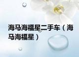 海马海福星二手车（海马海福星）