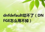 dnfdefault切不了（DNFGE怎么用不掉）
