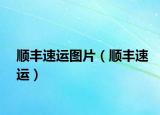 顺丰速运图片（顺丰速运）