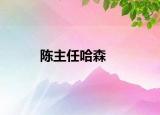 陈主任哈森