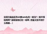 雷霆扫毒最后韦sir跟sandy在一起没?（看不懂结局啊? 很希望他们在一起啊. 但是又找不到什么根据...）