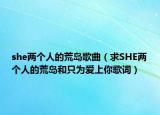 she两个人的荒岛歌曲（求SHE两个人的荒岛和只为爱上你歌词）