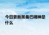 今日更新黑曼巴精神是什么