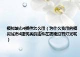 模拟城市4插件怎么用（为什么我用的模拟城市4建筑类的插件在夜晚没有灯光呢）