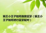 猫王小王子如何连接蓝牙（猫王小王子如何进行蓝牙配对）