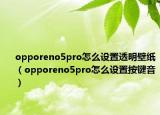 opporeno5pro怎么设置透明壁纸（opporeno5pro怎么设置按键音）