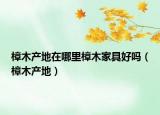 樟木产地在哪里樟木家具好吗（樟木产地）