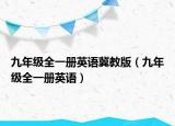 九年级全一册英语冀教版（九年级全一册英语）