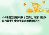 dnf手游圣职者转职（圣骑士 网游《地下城与勇士》中女圣职者的转职职业）