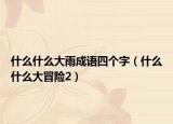 什么什么大雨成语四个字（什么什么大冒险2）
