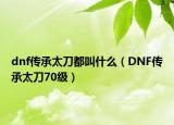 dnf传承太刀都叫什么（DNF传承太刀70级）