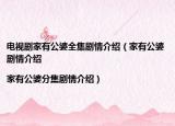 电视剧家有公婆全集剧情介绍（家有公婆剧情介绍|家有公婆分集剧情介绍）