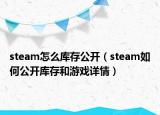 steam怎么库存公开（steam如何公开库存和游戏详情）