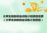 大学生创新创业训练计划项目经费（大学生创新创业训练计划项目）