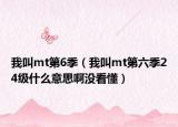 我叫mt第6季（我叫mt第六季24级什么意思啊没看懂）