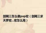 剑网三怎么做pvp宏（剑网三求天罗宏...宏怎么用）