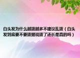 白头发为什么越拔越多不建议乱拔（白头发到底要不要拔据说拔了还长是真的吗）